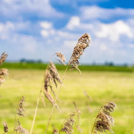 Casa vacanze Near Kaag Lakes