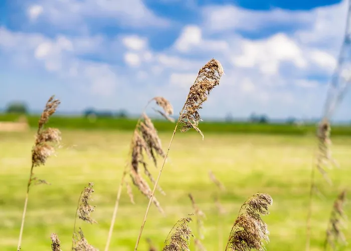 בית נופש Near Kaag Lakes